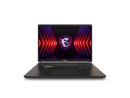 MSI Vector 17 HX A13VIG-603FR