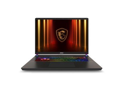 MSI Vector 17 HX AI A2XWJG-089XPL