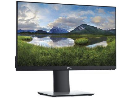 213954 143127 dell p2219h 1