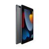 Apple iPad 10,2" (9. generace) 256GB Space Gray Wi-Fi + Cellular  (2021), A2604, včetně příslušenství